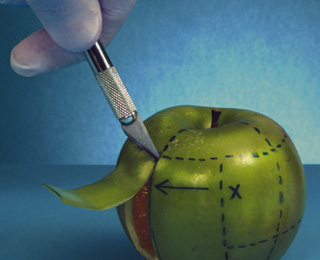 资源调度的手机号轰炸服务